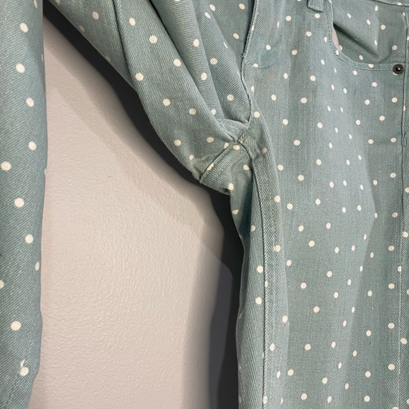 J. Crew Matchstick Mint Polka Dot Pant Sz 26 - Picture 5 of 7